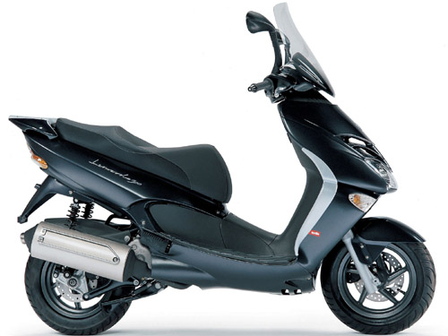 Aprilia Leonardo 250-300  Service Repair Manual