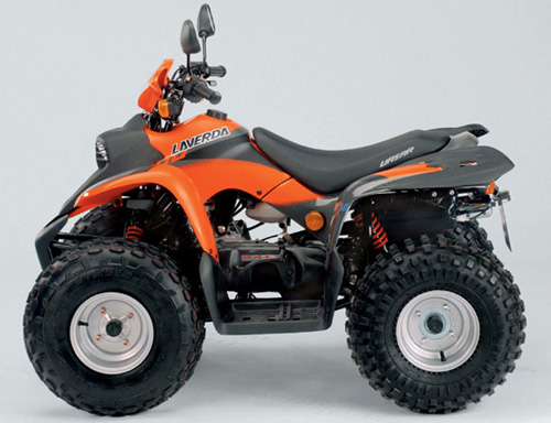 Aprilia Quasar 50-100 Atv  Service Repair Manual